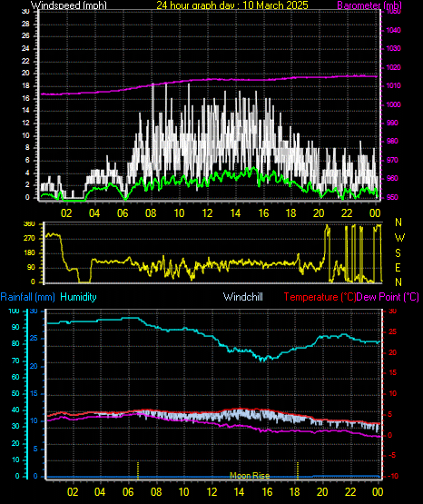 24 Hour Graph for Day 10