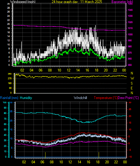 24 Hour Graph for Day 11