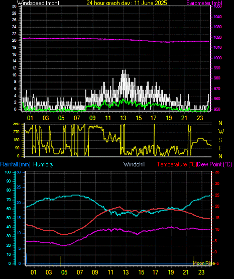 24 Hour Graph for Day 11