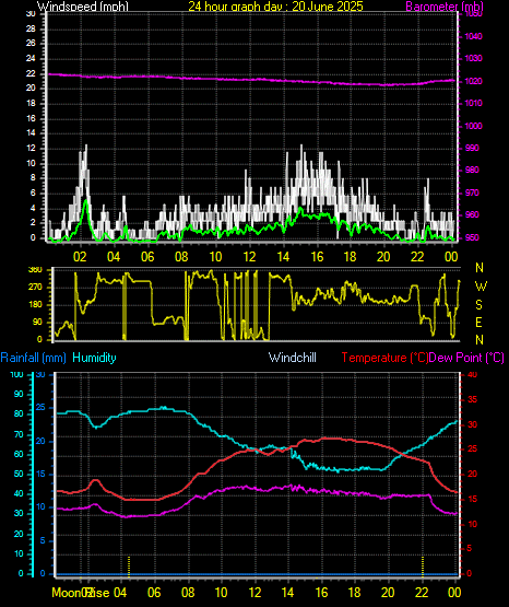 24 Hour Graph for Day 20