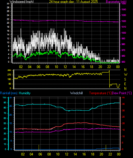 24 Hour Graph for Day 11