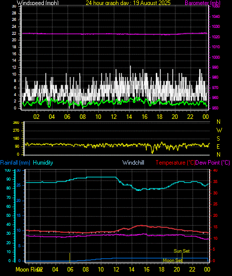 24 Hour Graph for Day 19