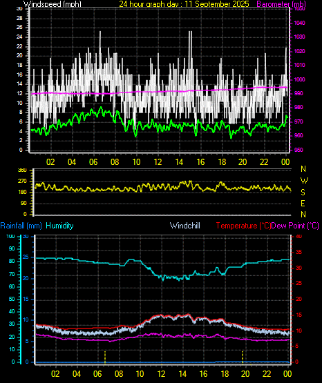 24 Hour Graph for Day 11