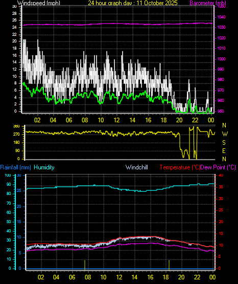 24 Hour Graph for Day 11