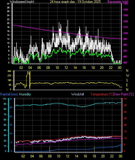 24 Hour Graph for Day 19