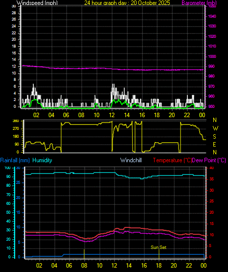 24 Hour Graph for Day 20