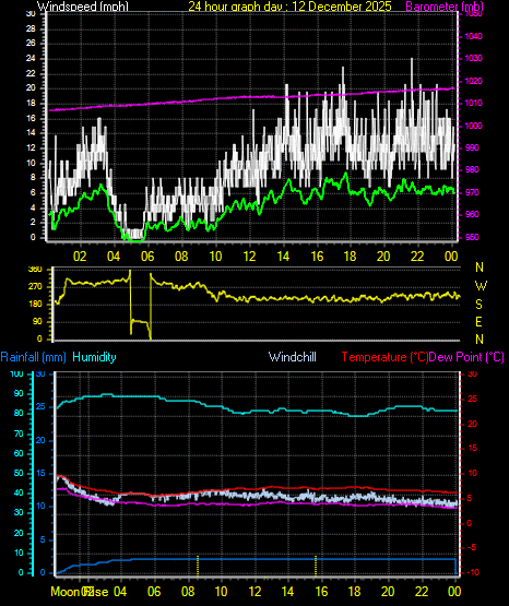 24 Hour Graph for Day 12