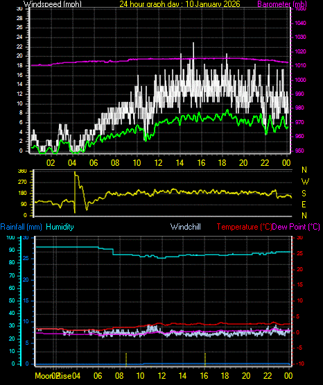 24 Hour Graph for Day 10