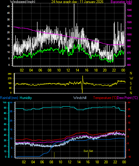 24 Hour Graph for Day 11