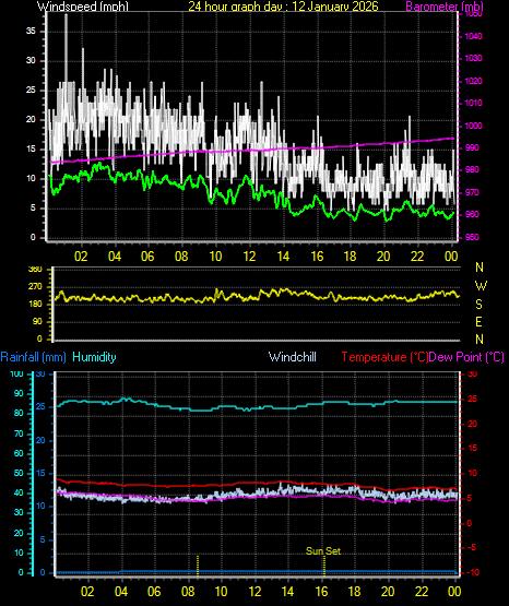 24 Hour Graph for Day 12