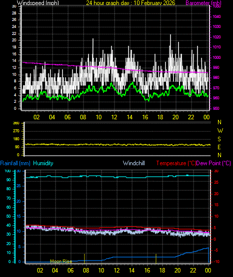 24 Hour Graph for Day 10