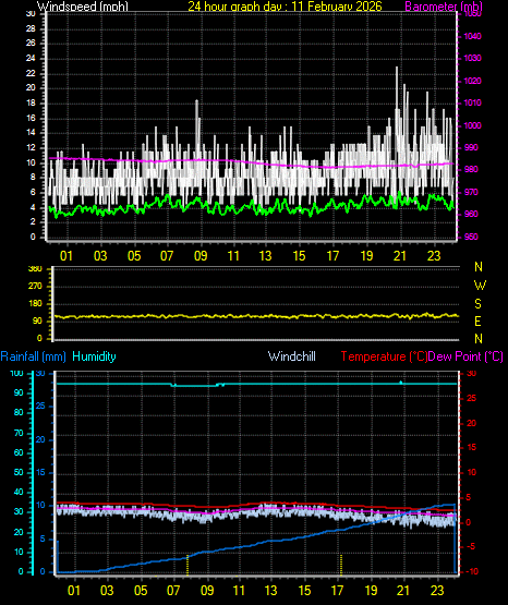 24 Hour Graph for Day 11
