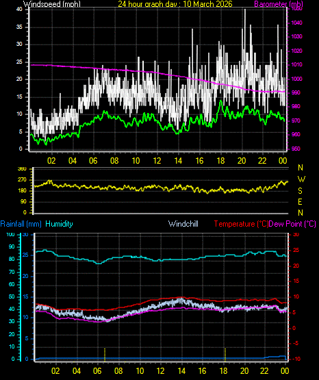 24 Hour Graph for Day 10