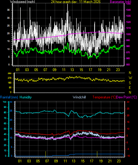 24 Hour Graph for Day 11