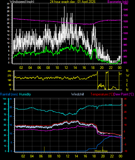24 Hour Graph for Day 01