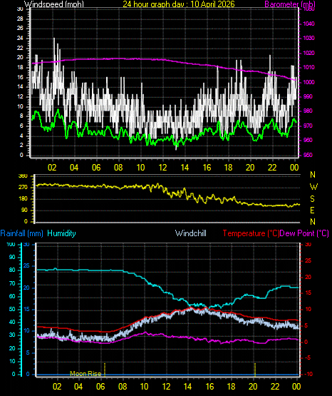 24 Hour Graph for Day 10