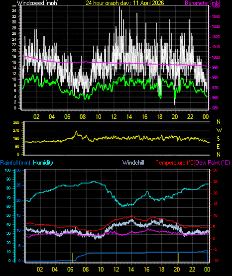 24 Hour Graph for Day 11