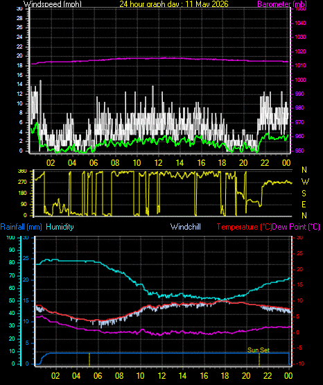 24 Hour Graph for Day 11