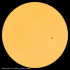 SDO/HMI Continuum Image of the Sun