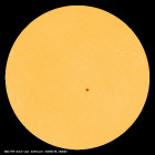 SDO/HMI Continuum Image of the Sun